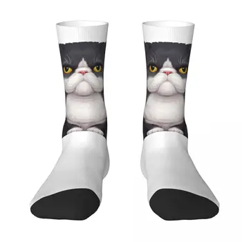 Черно-белый кот, носки контрастного цвета, Набор для пехоты, Эластичные носки с юмористической графикой, Классный чулок R204